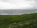 P1010167.JPG